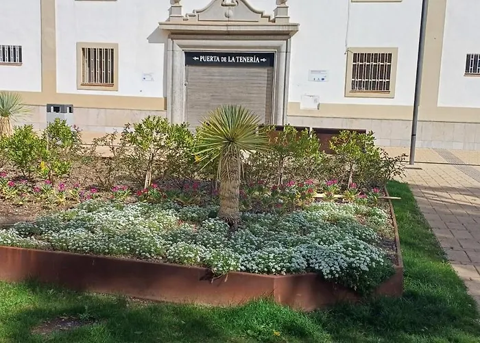 Suenos Del Mar